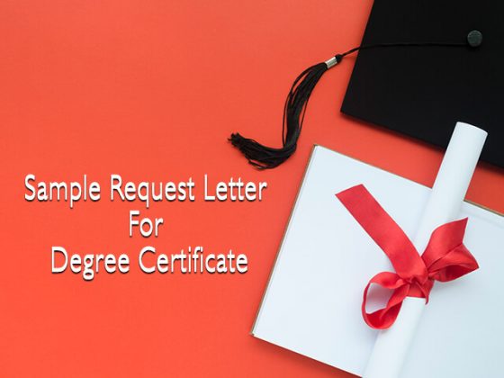 application letter for issuing degree certificate