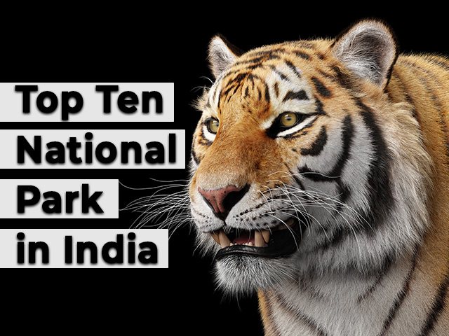 Top 10 National Parks in India