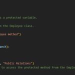 THE PROTECTED ACCESS MODIFIER 1