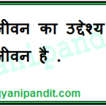 The purpose of life is the life of purpose.