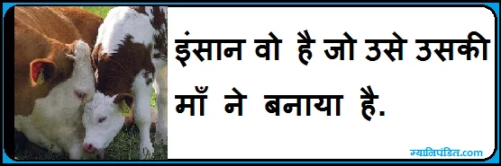 mother quotes in hindi