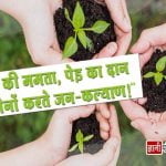 Quotes about Save Trees in Hindi