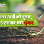 Quotes on Save Trees in Hindi