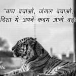 Best Slogan on Save Tiger