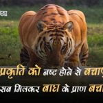 Save Tiger Slogan