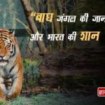 Slogan on Save Tiger in Hindi