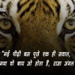 Tiger Bachao par Nare