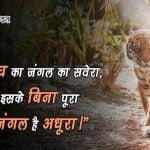 Tiger Bachao par Slogans