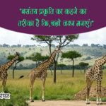 Lines on Nature in Hindi