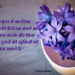 Flower Quotes