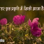 Phool Quotes