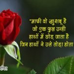 Quotes on Rose Flower in Hindi