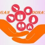 Slogans on Organ Donation