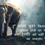 Animal Quotes in Hindi