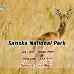 Sariska National Park