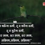 Harivansh Rai Bachchan Motivational Shayari