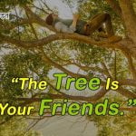 Quotes on Trees in Hindi