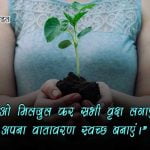 Save Trees Quotes