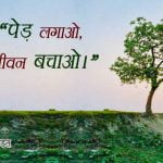 Save Trees Quotes