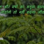 Save Trees Quotes