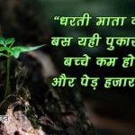 Save Trees Quotes