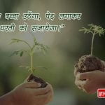 Slogan on Save trees in hindi