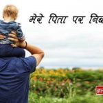 Few Lines on My Father in Hindi