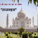 The Taj Mahal History In Hindi