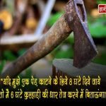 Success Quotes in Hindi