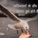 Thoughts of Albert Einstein in Hindi