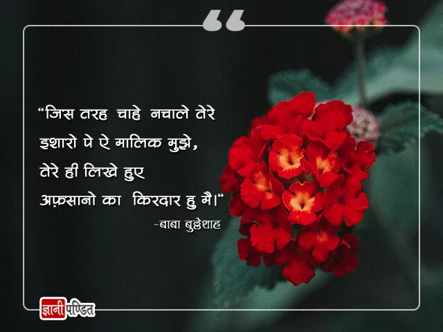 Baba Bulleh Shah Quotes in Hindi