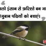 Save Birds Slogan in Hindi