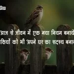 Slogan on Save Birds in Hindi