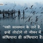 Quotes on Freedom of Birds in Hindi