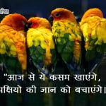 Shayari on Birds in Hindi