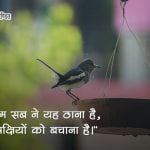 Quotes on Save Birds in Hindi