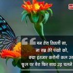 Butterfly Love Quotes in Hindi