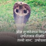 Nag Panchami Wishes in Hindi